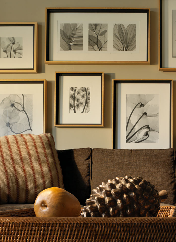 8050 room appointments